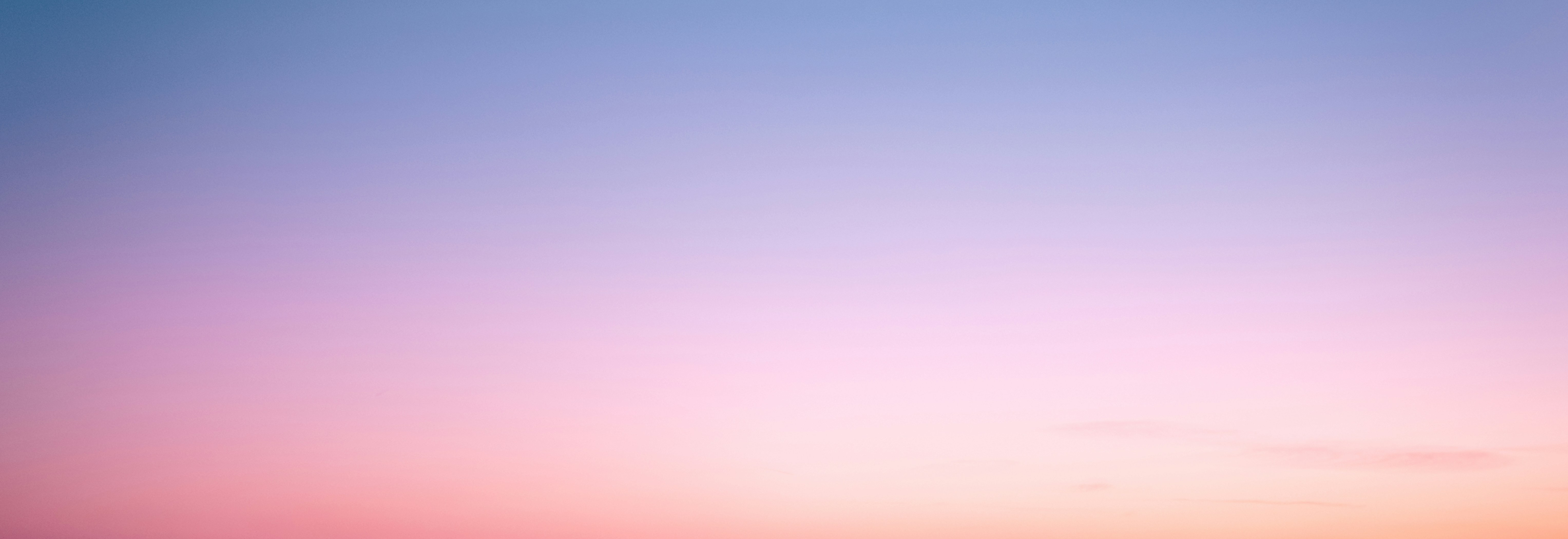 flamingo with pink and blue background