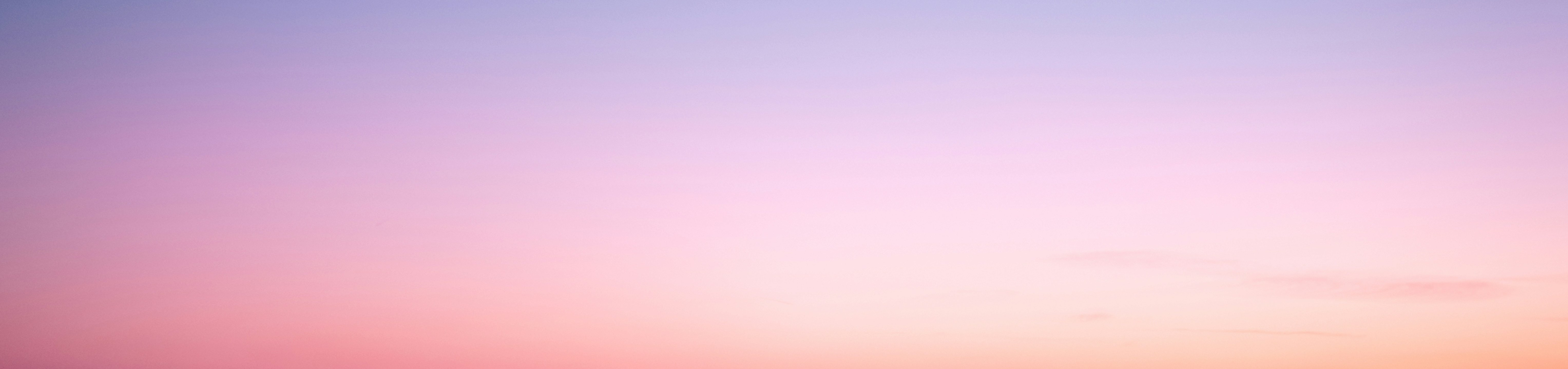 flamingo with pink and blue background